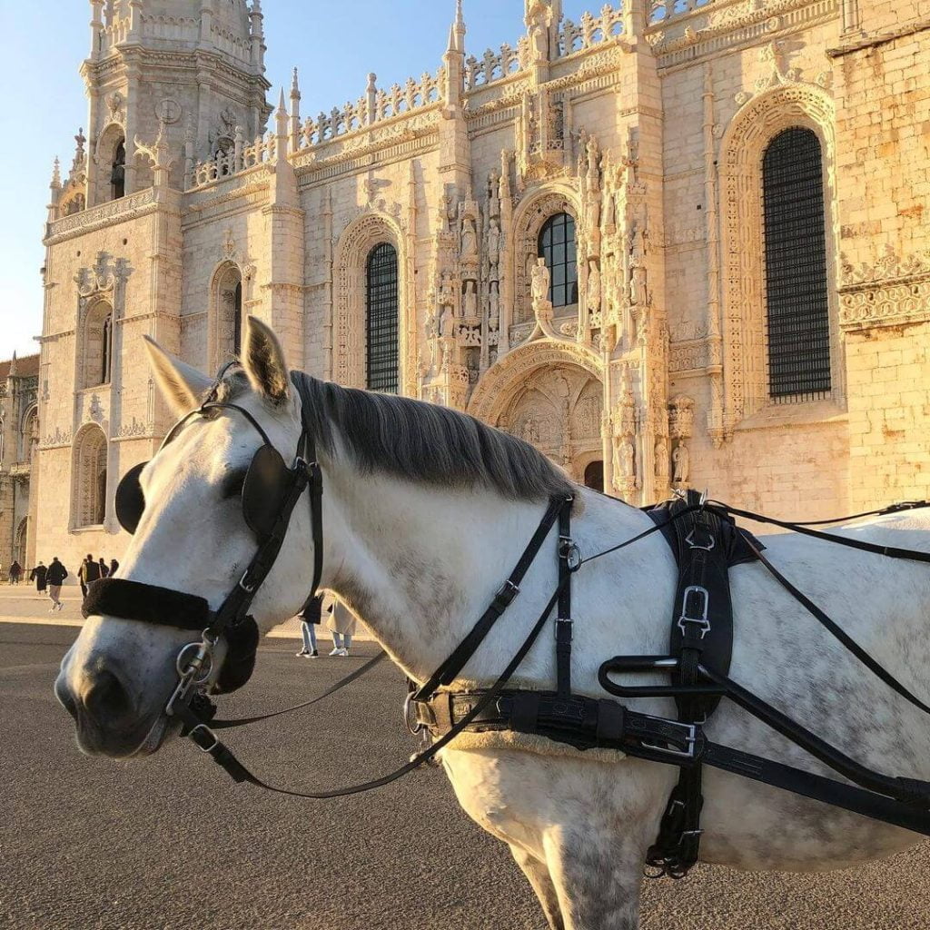 Guardian of History: Steed at the Monastery